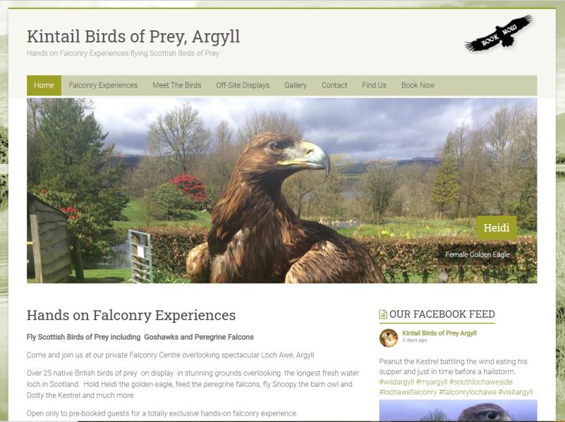 Meet The Birds - Kintail Birds of Prey, Argyll