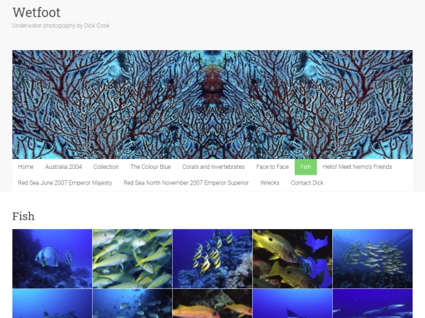 Wetfoot - Underwater Photogrpahy
